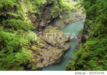 (群馬県)深緑の吾妻峡・鹿飛橋から眺める下流側 (群馬県)深緑の吾妻峡・鹿飛橋から眺める下流側 93543540