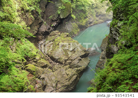 (群馬県)深緑の吾妻峡・鹿飛橋から眺める下流側 (群馬県)深緑の吾妻峡・鹿飛橋から眺める下流側 93543541