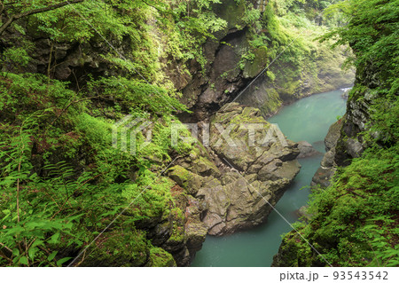 (群馬県)深緑の吾妻峡・鹿飛橋から眺める下流側 (群馬県)深緑の吾妻峡・鹿飛橋から眺める下流側 93543542