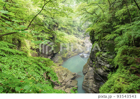 （群馬県）深緑の吾妻峡・鹿飛橋から眺める下流側 93543543