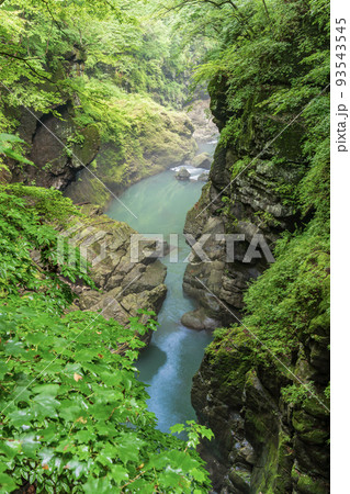 （群馬県）深緑の吾妻峡・鹿飛橋から眺める下流側 93543545