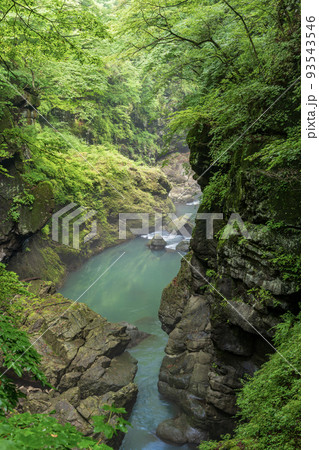 (群馬県)深緑の吾妻峡・鹿飛橋から眺める下流側 (群馬県)深緑の吾妻峡・鹿飛橋から眺める下流側 93543546