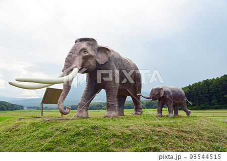 【長野県信濃町】国道18号からの野尻湖ナウマンゾウ 93544515