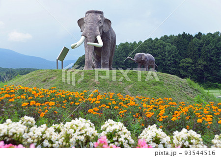 【長野県信濃町】国道18号からの野尻湖ナウマンゾウ 【長野県信濃町】国道18号からの野尻湖ナウマンゾウ 93544516