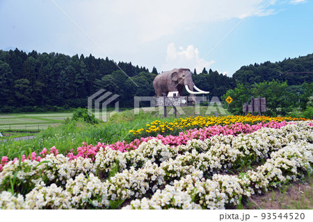 【長野県信濃町】国道18号からの野尻湖ナウマンゾウ 93544520