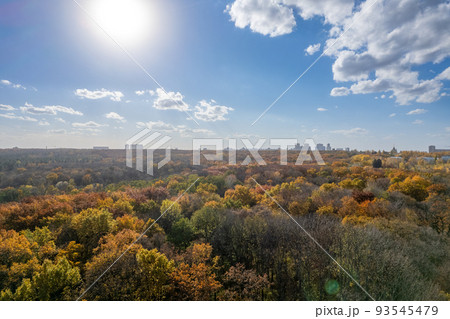 Drone scene of park in fall season under blue sky. 93545479