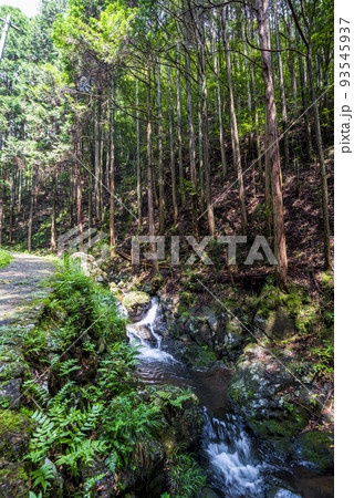 岐阜県 加茂郡 八百津町 五宝滝公園に流れる清流 岐阜県 加茂郡 八百津町 五宝滝公園に流れる清流 93545937