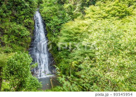 岐阜県　加茂郡　八百津町　五宝滝 93545954