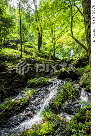 岐阜県　加茂郡　八百津町　五宝滝公園の清流 93545976