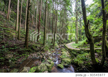 岐阜県 加茂郡 八百津町 五宝滝公園の清流 岐阜県 加茂郡 八百津町 五宝滝公園の清流 93545977