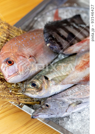 捕れたて新鮮な魚 捕れたて新鮮な魚 93546427
