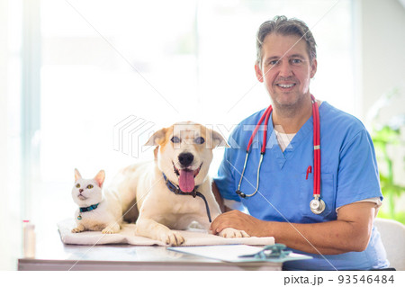 Vet with dog and cat. Puppy and kitten at doctor. Vet with dog and cat. Puppy and kitten at doctor. 93546484