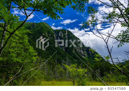上高地 (夏) 上高地 (夏) 93547560