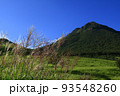 由布岳とススキ秋の風景　大分県 93548260