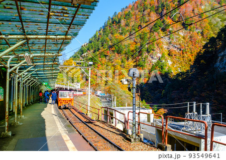 黒部峡谷トロッコ電車（秋）：欅平駅 93549641