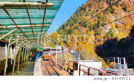 黒部峡谷トロッコ電車（秋）：欅平駅 93549721