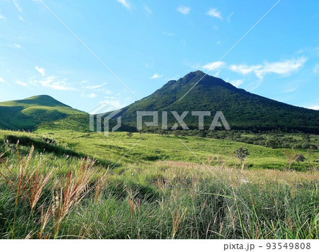 由布岳と登山口のススキ　秋の風景9月 93549808
