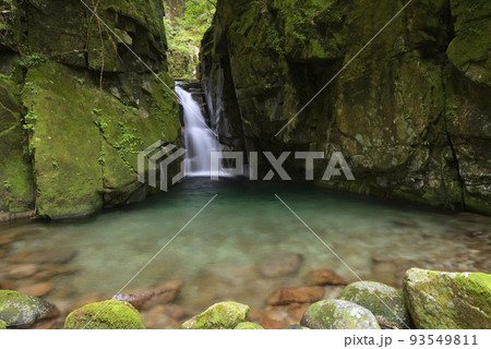 アナギの滝（陰の滝）三重県尾鷲市 93549811