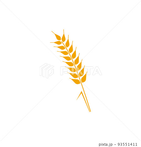 Wheat wreaths logo. Wheat ear icon. Vector agriculture ears symbol. 93551411
