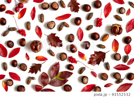 Autumn pattern with leaves, chestnuts, acorns and berries isolated on a white background. Beautiful fall composition. Top view, flat lay. 93552532