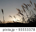 山の麓に沈む太陽に照らされるススキ（10月） 93553378