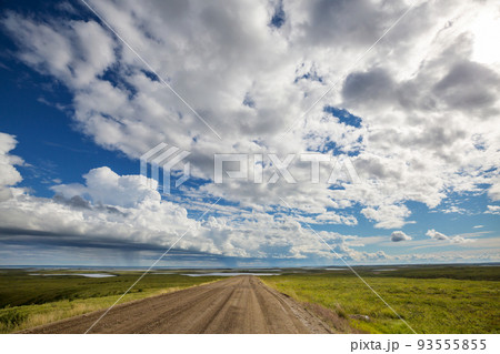 Road in tundra 93555855