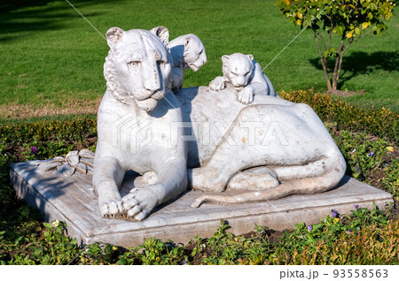 ISTANBUL, TURKEY - January 2022: Lioness statue in garden of Dolmabahce Palace ISTANBUL, TURKEY - January 2022: Lioness statue in garden of Dolmabahce Palace 93558563