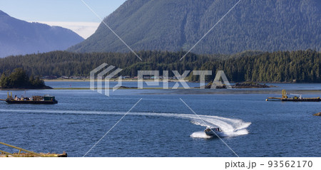 Tofino, Vancouver Island, British Columbia, Canada. View of Canadian Mountain Landscape 93562170