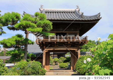 妙正寺（大分市・戸次本町） 93562545