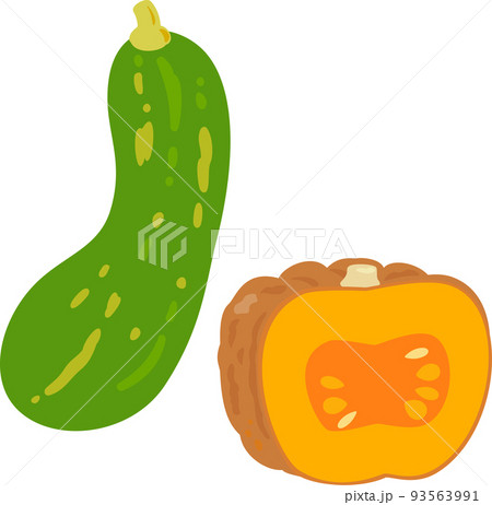 鶴首カボチャと菊カボチャ 93563991