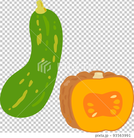 鶴首カボチャと菊カボチャ 93563991