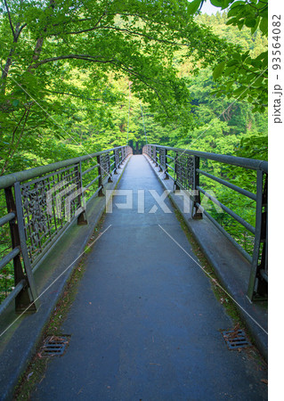 吹割渓谷遊歩道 吹割橋 初夏の風景 吹割渓谷遊歩道 吹割橋 初夏の風景 93564082