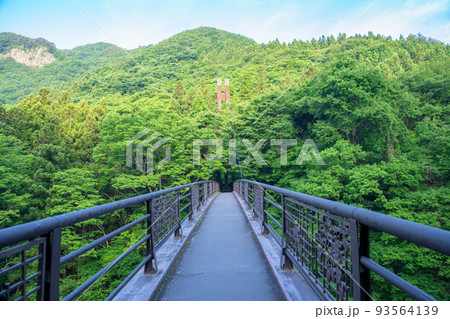 吹割渓谷遊歩道 吹割橋からの眺め 初夏の風景 吹割渓谷遊歩道 吹割橋からの眺め 初夏の風景 93564139