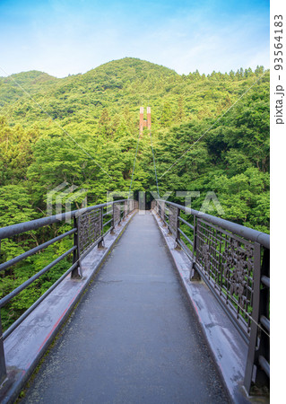 吹割渓谷遊歩道 吹割橋からの眺め 初夏の風景 吹割渓谷遊歩道 吹割橋からの眺め 初夏の風景 93564183