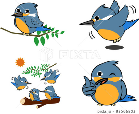 かわいいカワセミセット 93566803