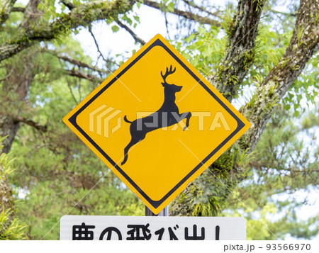 道路標識(警戒標識)「動物が飛び出すおそれあり」。 93566970