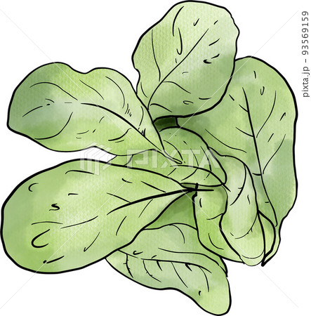 Vegan food doodle icon watercolor png Vegan food doodle icon watercolor png 93569159