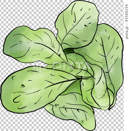 Vegan food doodle icon watercolor png Vegan food doodle icon watercolor png 93569159