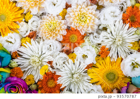 花の背景素材　花手水 93570787