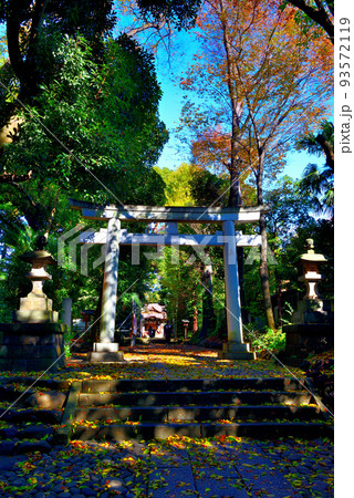 <代々木八幡宮境内晩秋の風景 <代々木八幡宮境内晩秋の風景 93572119