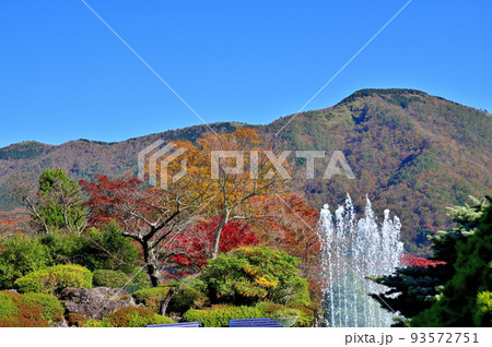 箱根強羅公園紅葉 箱根強羅公園紅葉 93572751