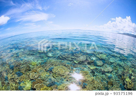 奇跡の瞬間 奇跡の瞬間 93575196