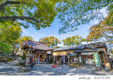 清瀧神社　浦安三社　拝殿 93575704