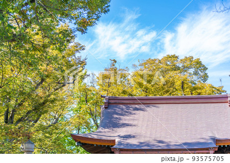 清瀧神社　浦安三社　拝殿 93575705