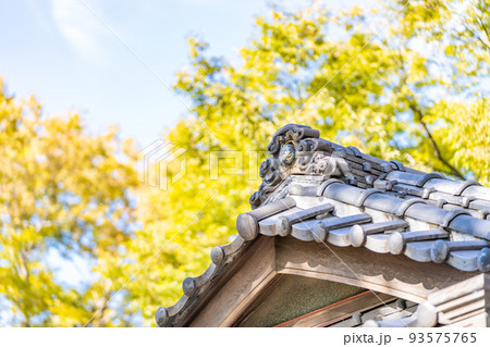 清瀧神社 浦安三社 ケヤキ 境内 清瀧神社 浦安三社 ケヤキ 境内 93575765