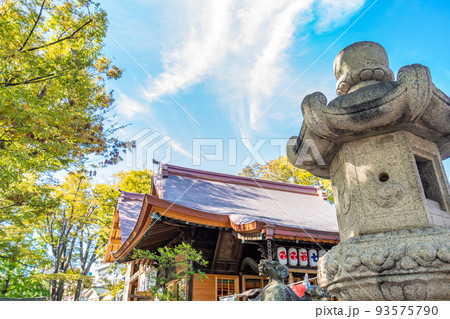 清瀧神社　浦安三社　ケヤキ　石燈籠 93575790