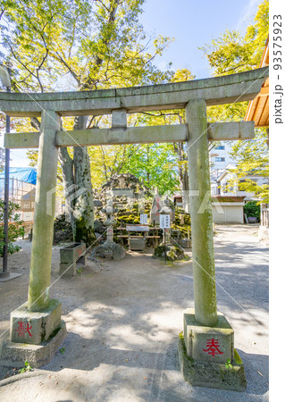 清瀧神社　浦安三社　富士塚　浅間神社 93575923