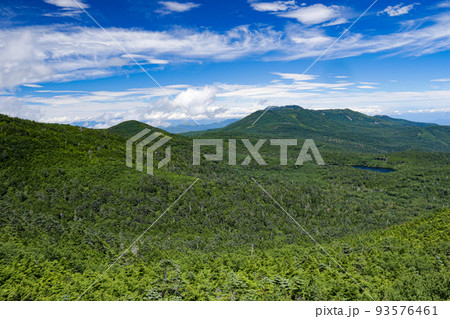 夏の北八ヶ岳 『にゅう』山頂からの風景 白駒池を望む 夏の北八ヶ岳 『にゅう』山頂からの風景 白駒池を望む 93576461