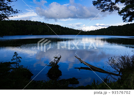 夏の北八ヶ岳　静寂に包まれる白駒池 93576702