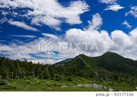 北八ヶ岳 中山山頂展望台からの絶景 天狗岳 長野県 日本 北八ヶ岳 中山山頂展望台からの絶景 天狗岳 長野県 日本 93577336
